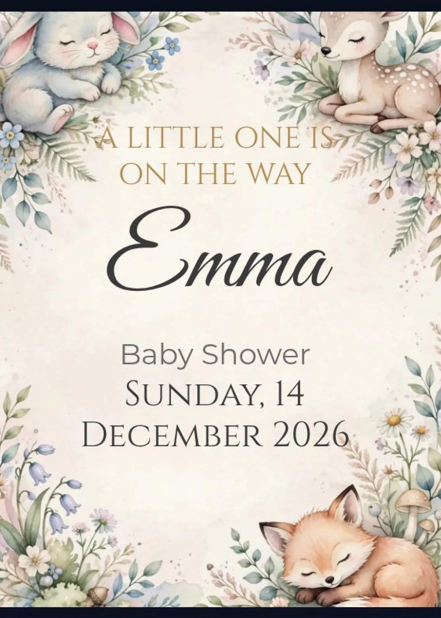 Baby Shower Western 01