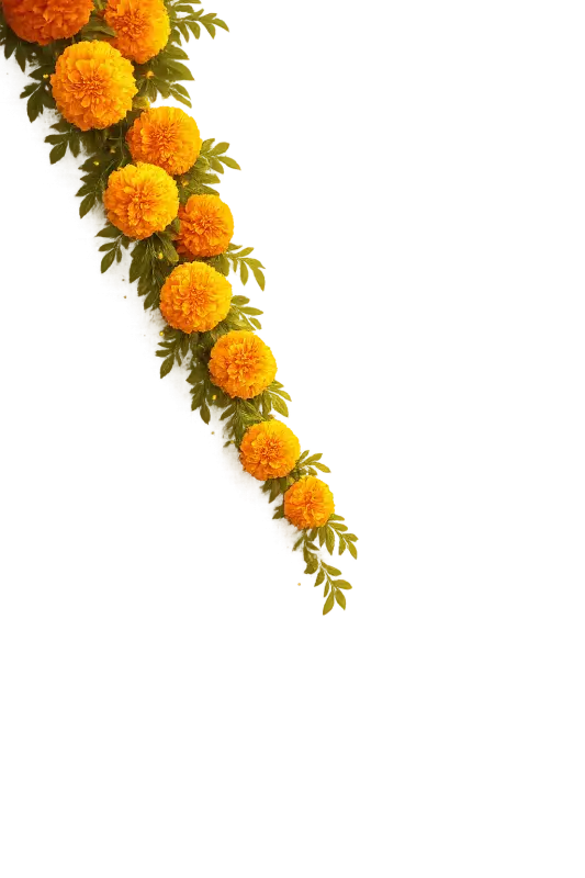 Marigold