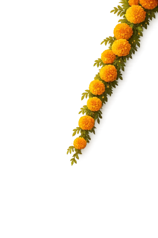 Marigold